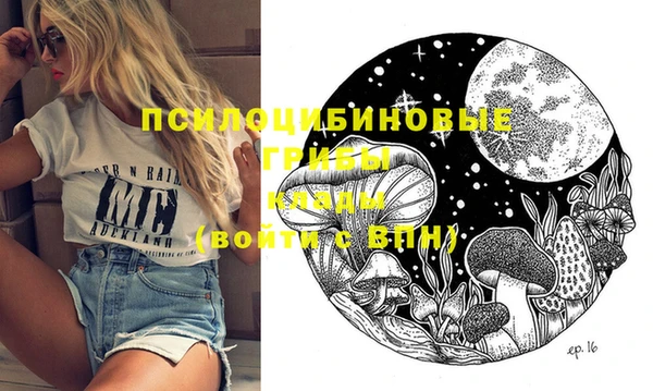 амф Абинск