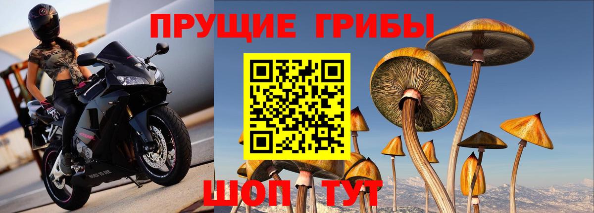 Янаул  Псилоцибиновые грибы Psilocybine cubensis  Вход с VPN  где найти наркотики  Галлюциногенные грибы мухоморы 